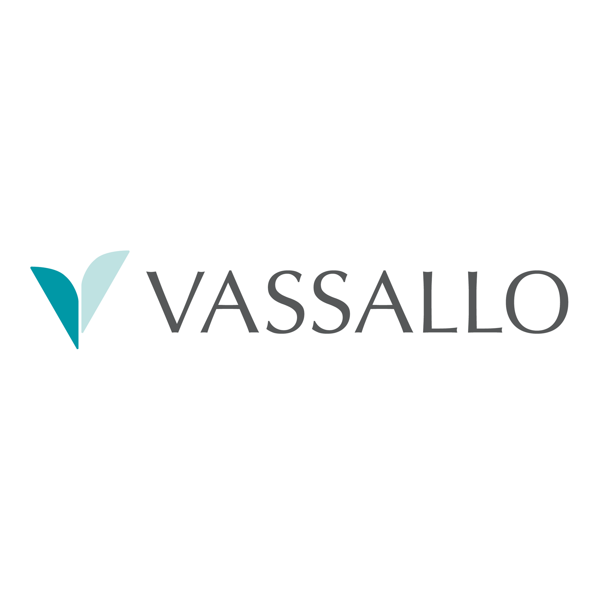 Logo Vassallo